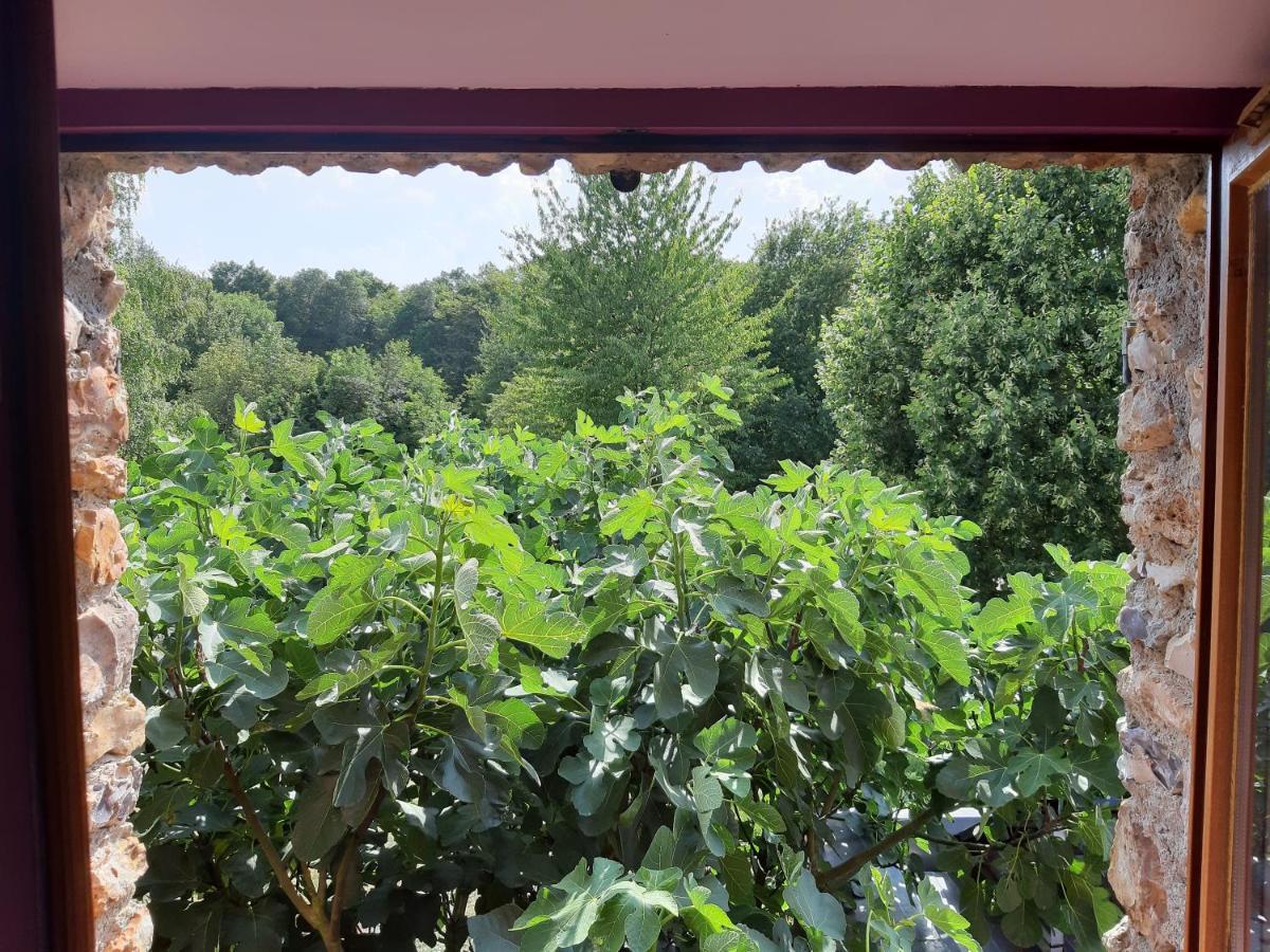 Rouvres  La Grange Des Lisieres B&B 외부 사진